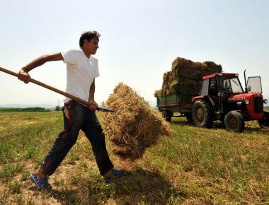 Φορολογικές δηλώσεις για αγρότες: Τι πρέπει να προσέξουν